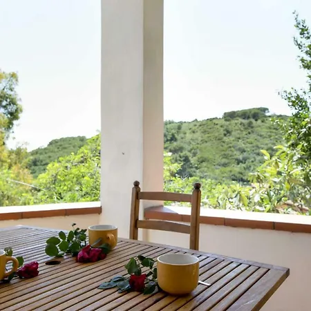 Goelba Apartment