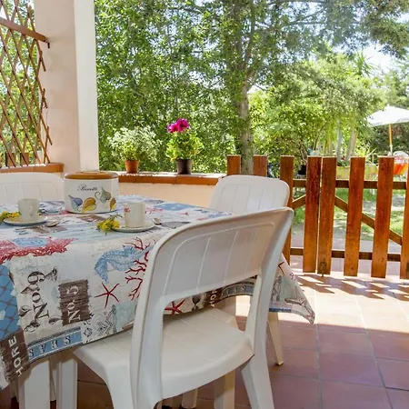 Goelba * 페토바이아